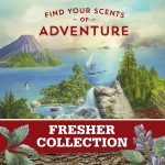 Old Spice Antiperspirant Deodorant for Men, Timber With Sandalwood, Inspired by Natural Elements, Invisible Solid, 2.6 Oz,(Pack of 12) - Image 7